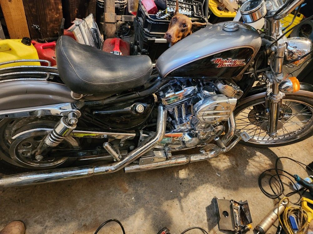1997 Sportster