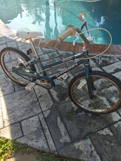 Schwinn bick for sale