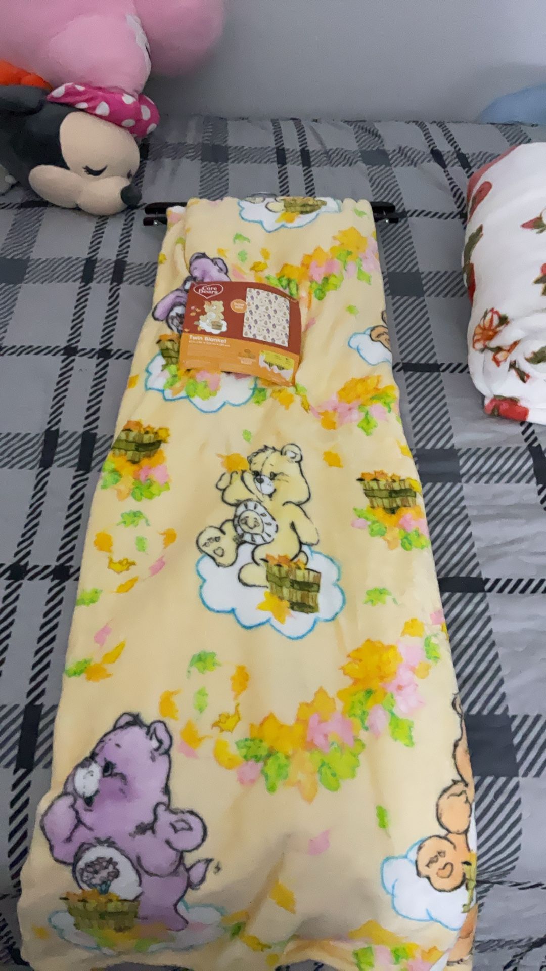 Care Bears Blanket