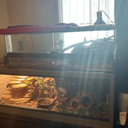 Two Cages And Everything In It 