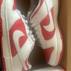 nike dunks size 12