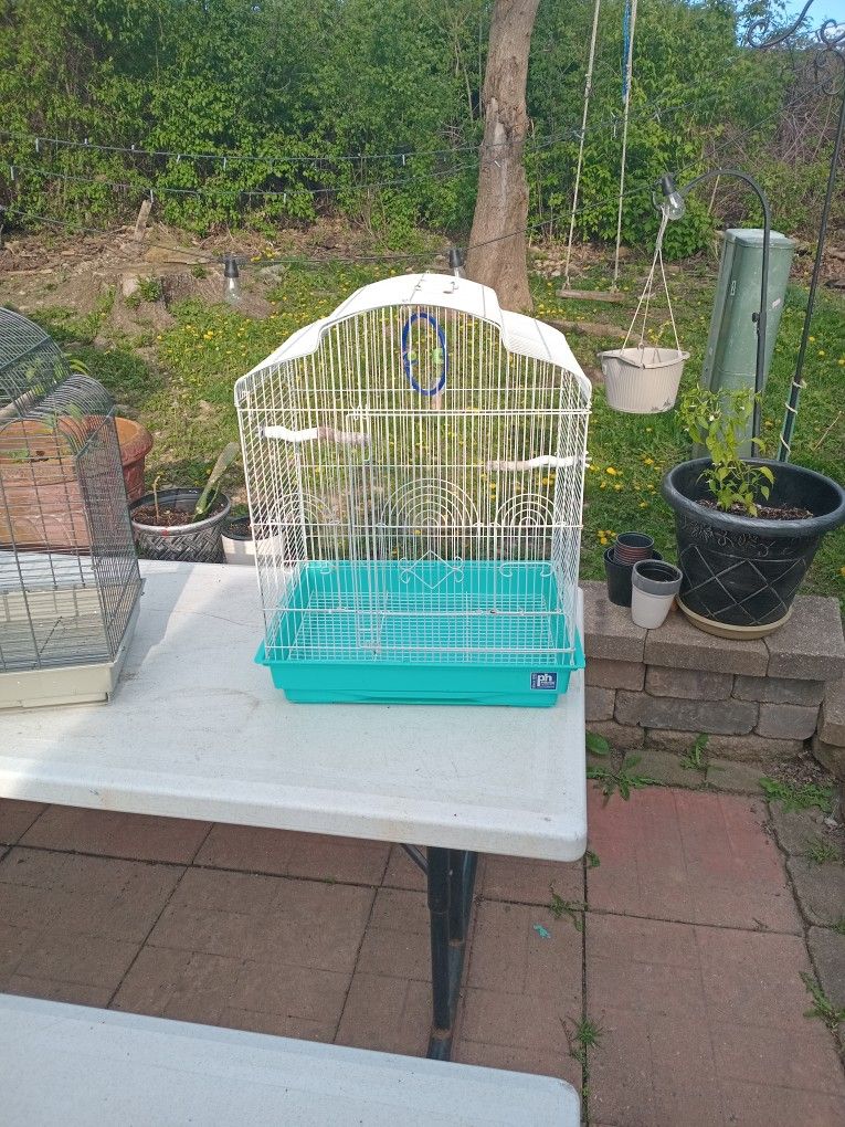 Jaulas Para Pajarito Azul,Negra