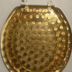 Old School Penny Toilet Seat 