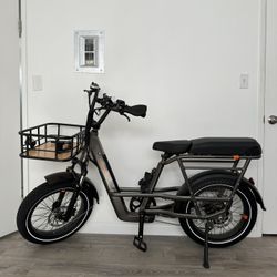 RadRunner 3 plus Electric Utility Bike 