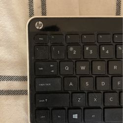 Wireless HP Keyboard And Apple Wireless Mosue