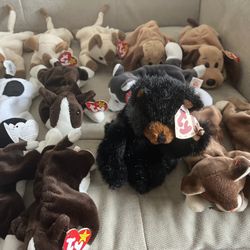 Lots of beanie babies for sale