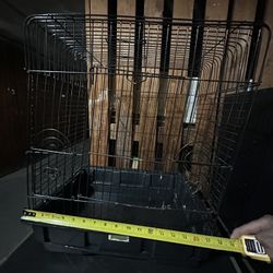 Bird Cage 