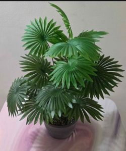 Artificial Potted Plant Sealed in Crushed Stone @ Lasting Creations