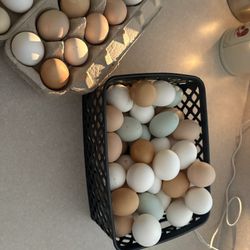Farm Fresh Eggs