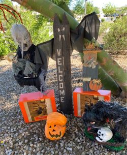 Halloween Decorations for Outdoors
