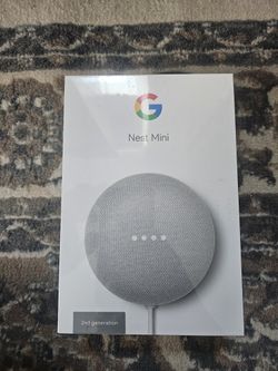 Goggle Nest Mini