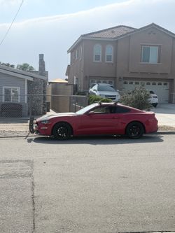 2021  Mustang