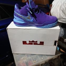 NIKE ZOOM LEBRON NXXT