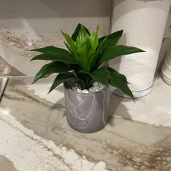 Faux Plant