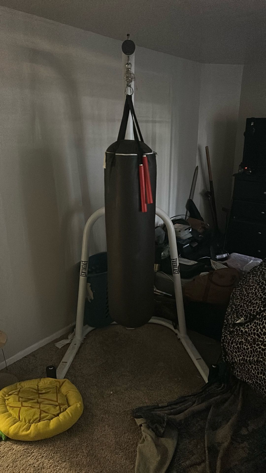 Everlast 7 Foot Tall 100 Lb Heavy Bag