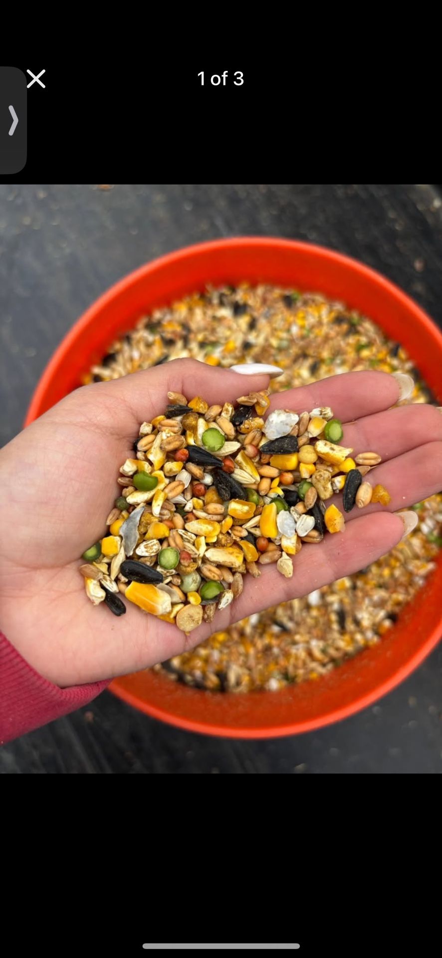 Chicken Feed