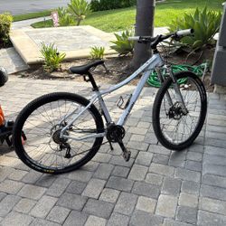 Raleigh Mountain Bike