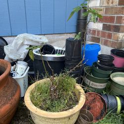 Rose Clay Pot Planter