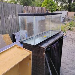 Fish Tank