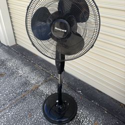 Fan