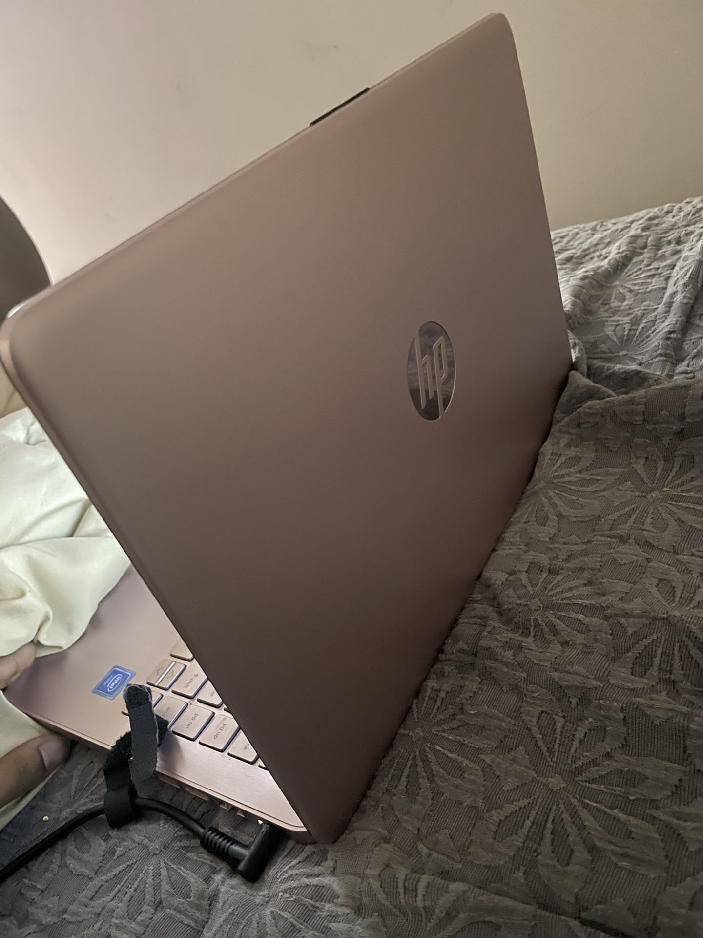 Rose Pink Hp Labtop