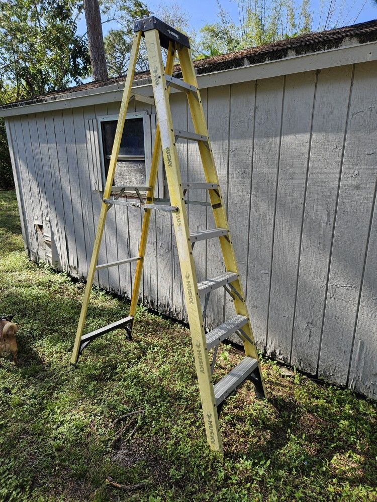 8' Ladder