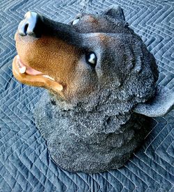 Bear trophy head mount Resin