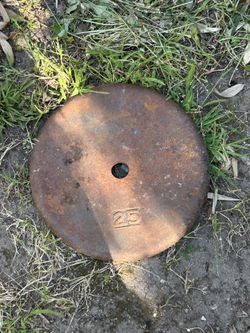 Singular 25lb Weight 