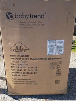 Pink Bamboo Stroller/Car seat