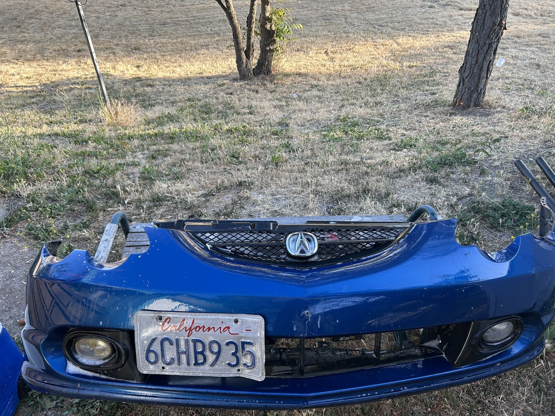 Acura Rsx Type S