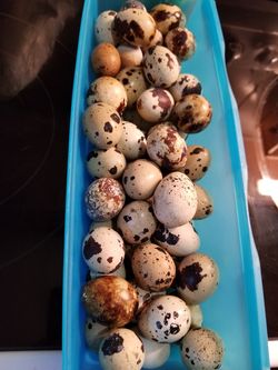 Mandeme mensaje para cualquier pregunta