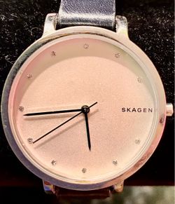 Skagen Women's Watch Silver Tone