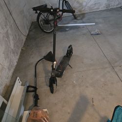 Scooter 