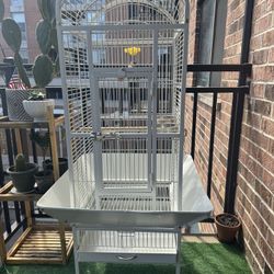 Luxury Birds Cage 