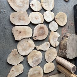 Sycamore Cookie Slices 