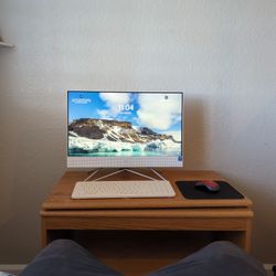 HP all In One Desktop Computer 