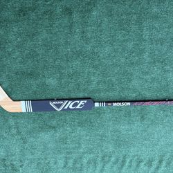 Molson Ice Beer Promotional Photo