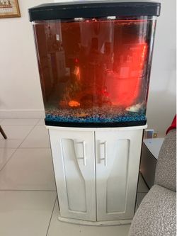 Fish tank