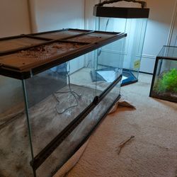 Tanks And Terrariums