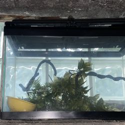 Fish Tank For Sale 