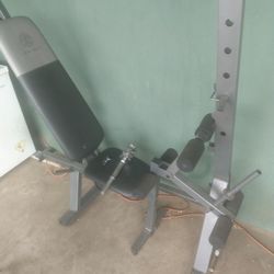 Weight Bench ( Needs To Be Set Up)