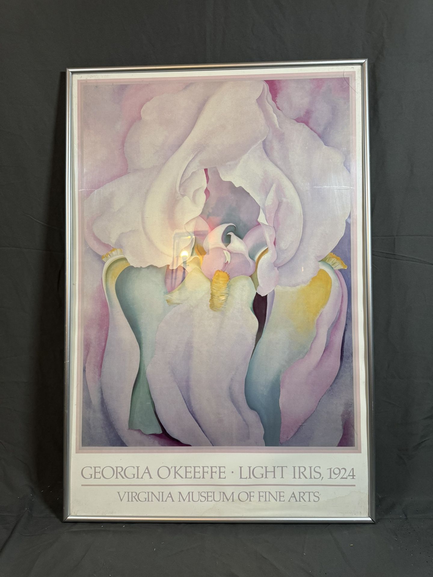 Georgia O'Keeffe Light Iris Framed Poster