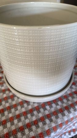 Large White Textured Plant Pot