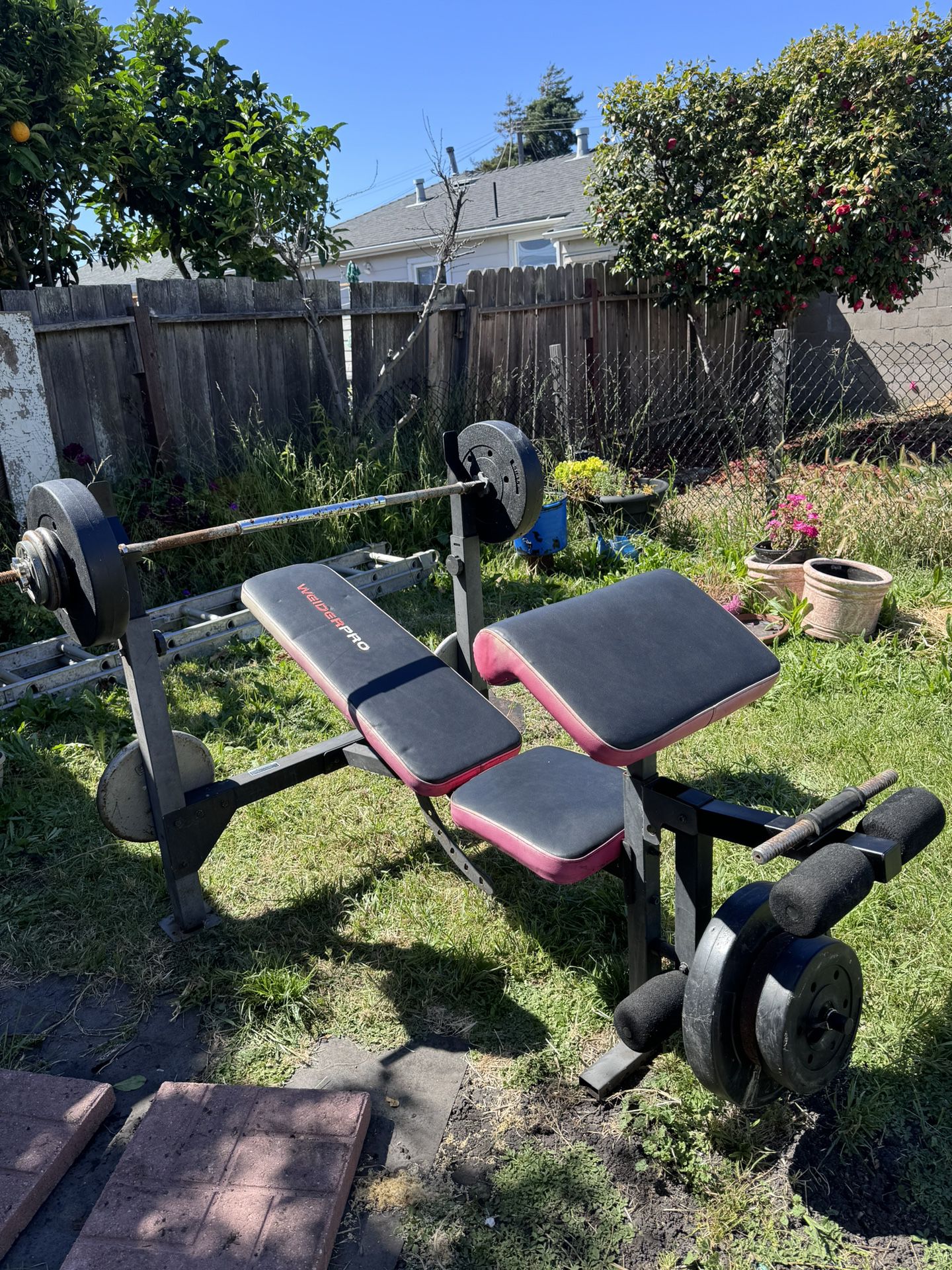 Weider pro Ajustable Bench Set With Weights