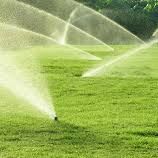 Need Irrigation System