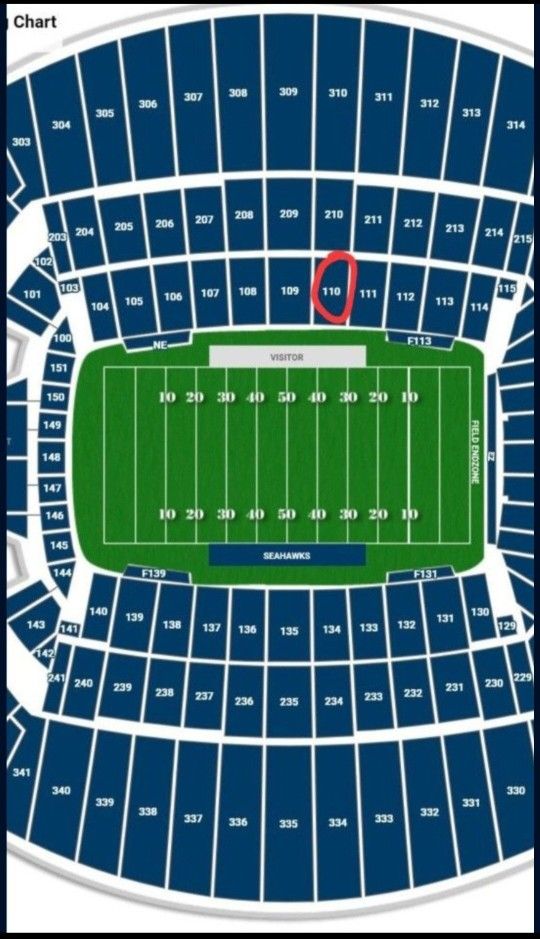 Seattle Seahawks VS Indianapolis Colts AMAZING SEATS
