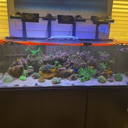 160 Gallon Aquarium. Free. Tank And Stand Only.