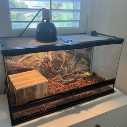 Turtle & Aquarium 