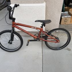 GT Mach Pro 20” BMX Bike – Project Bike