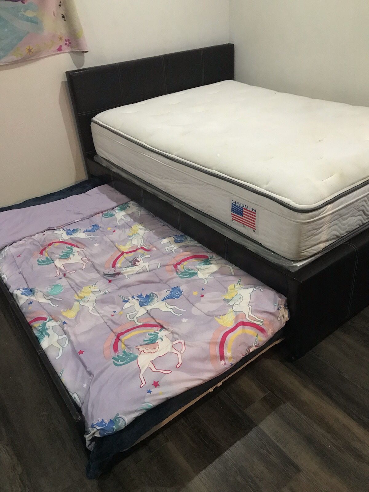 Queen Trundle/pull Out Bed